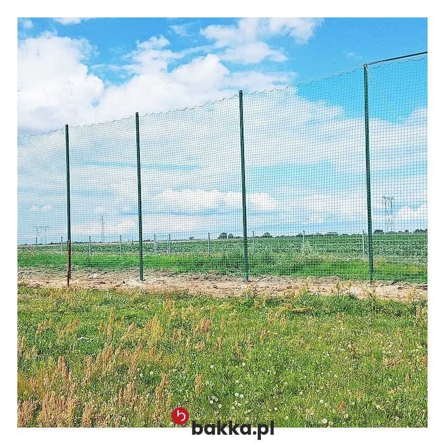 Piłkochwyt 5m wysokości // Piłkochwyt o wysokości 5 metrów z siatką o oczkach 10x10 cm