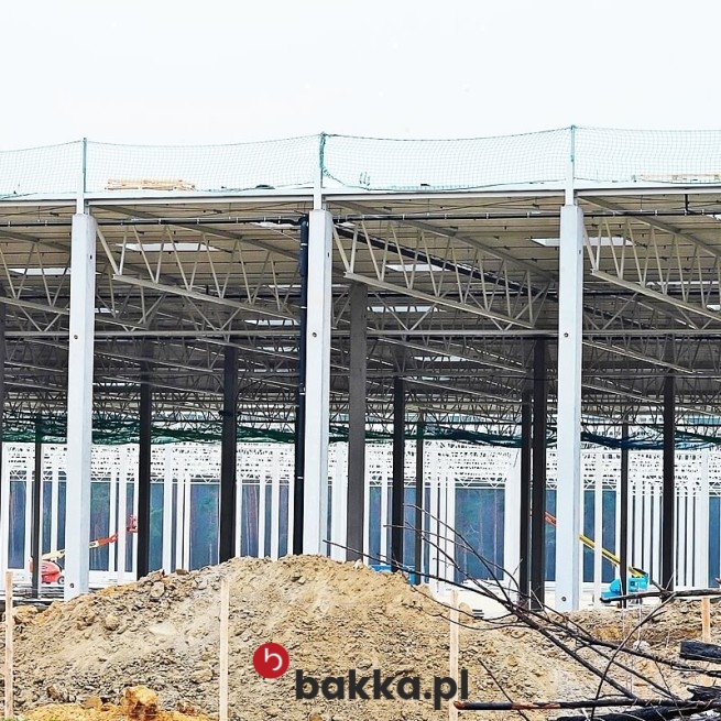 Tymczasowe ogrodzenie – zabezpieczenie w ogrodzie dla dziecka i zwierzęcia w Bakka