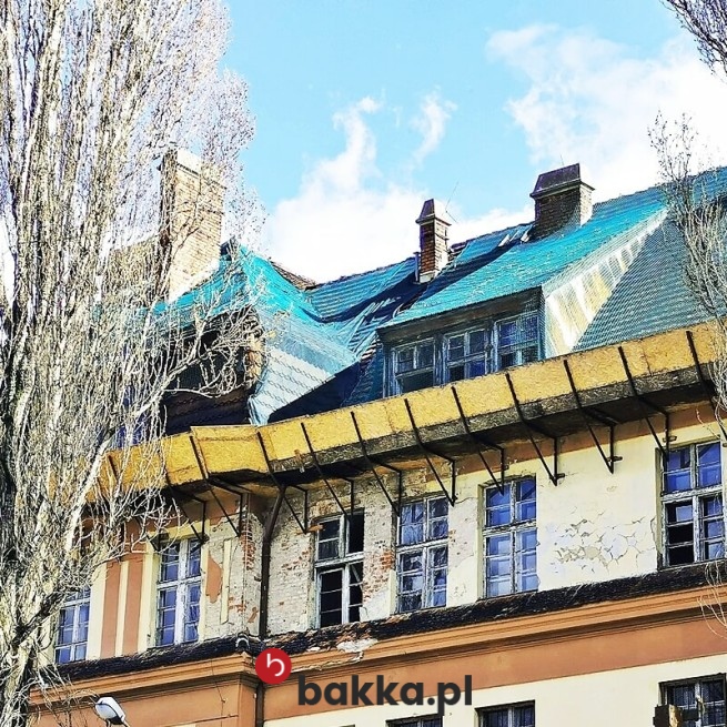fotografia siatki o gęstym oczku w Bakka