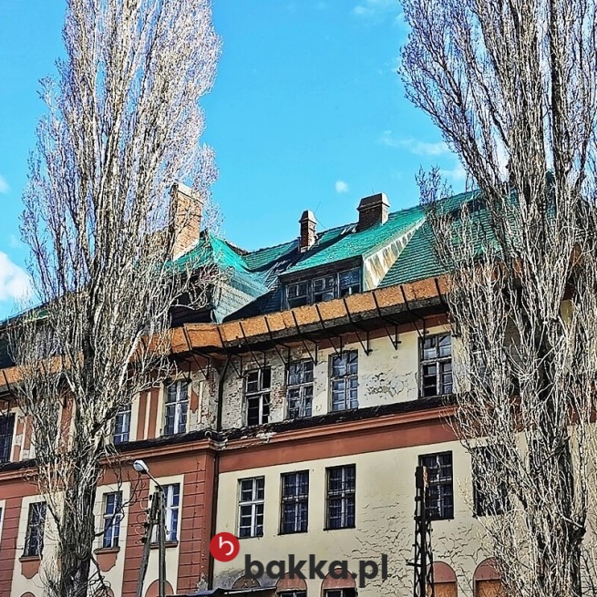 Siatka ochronna z polipropylenu na wymiar, zielona, biała lub czarna, o oczkach 2x2 cm w Bakka