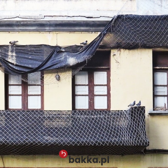   Bakka - Zielona siatka ochronna pleciona z polipropylenu o oczkach 8x8 cm dostępna w dowolnym rozmiarze 