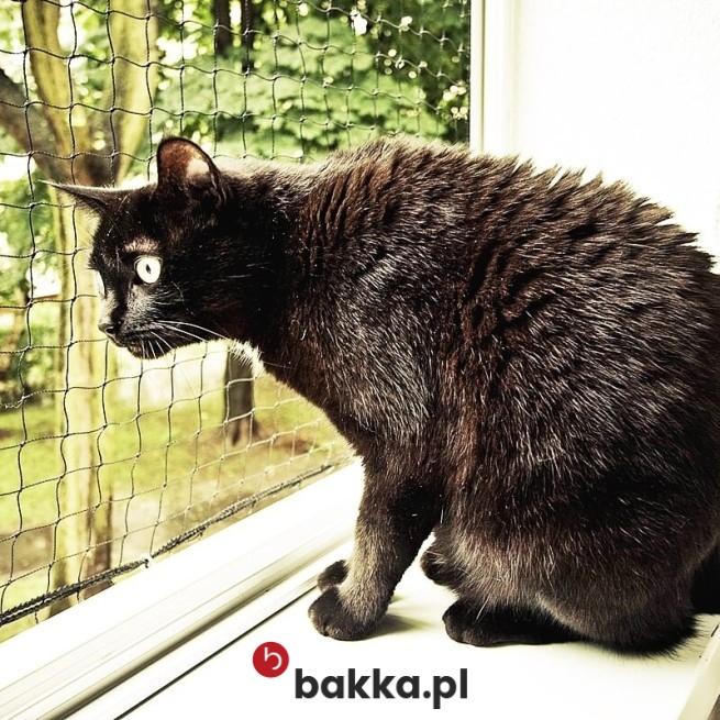 siatka o gęstej strukturze oczek w Bakka