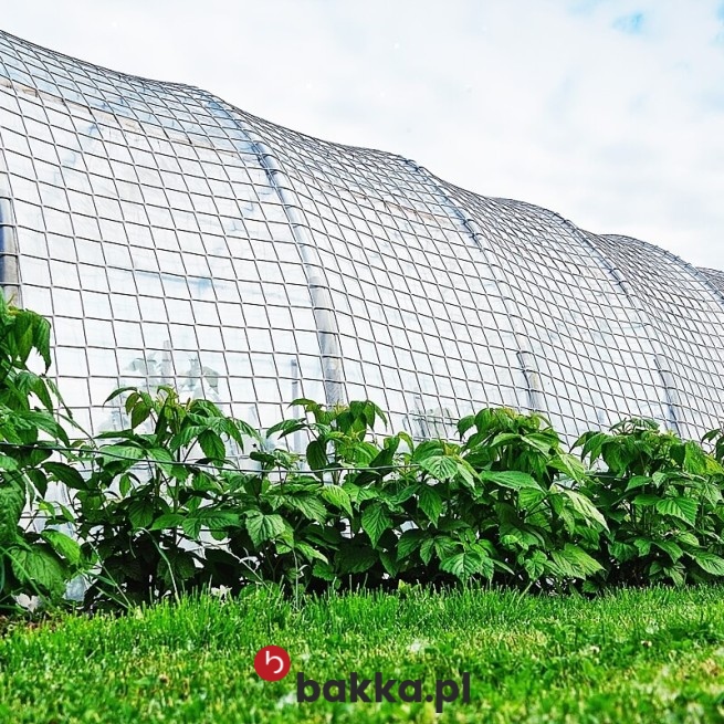  Bakka - , 
