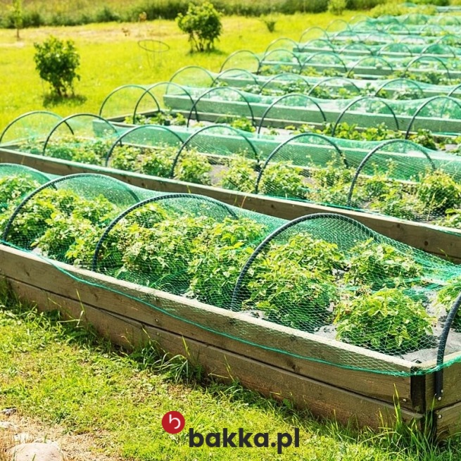 siatka o gęstej strukturze oczek w Bakka