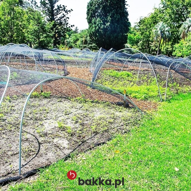   Bakka - Ogrodzenie rabat - Siatka zabezpieczająca do ochrony z małymi oczkami na wymiar. 