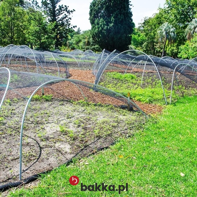   Bakka - Siatki ogrodowe uprawne z polipropylenu o grubości 2 milimetrów z szarym obszyciem i oczkami 4x4 cm, sprzedawane na wymiar jako materiał zabezpieczający i ochronny. 
