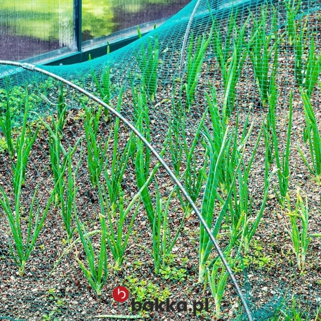   Bakka - Siatki ochronne ogrodów uprawnych w rozmiarze według życzenia klienta, siatka zabezpieczająca z tworzywa o oczkach 10x10 cm, pleciona siatka tekstylna elastyczna, do indywidualnych rozmiarów 