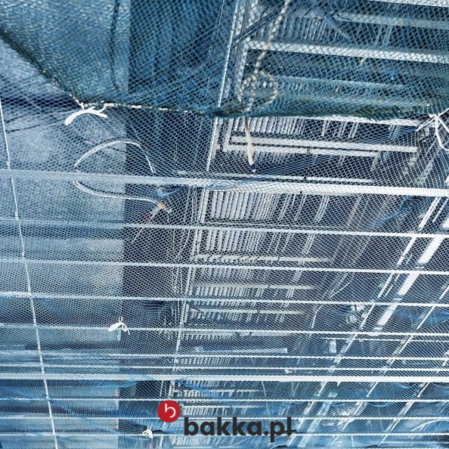   Bakka - Siatki zabezpieczające na wymiar do ochrony wykonane z polipropylenu o oczkach 10x10 cm i grubości 5 mm w kolorze zielonym lub czarnym 