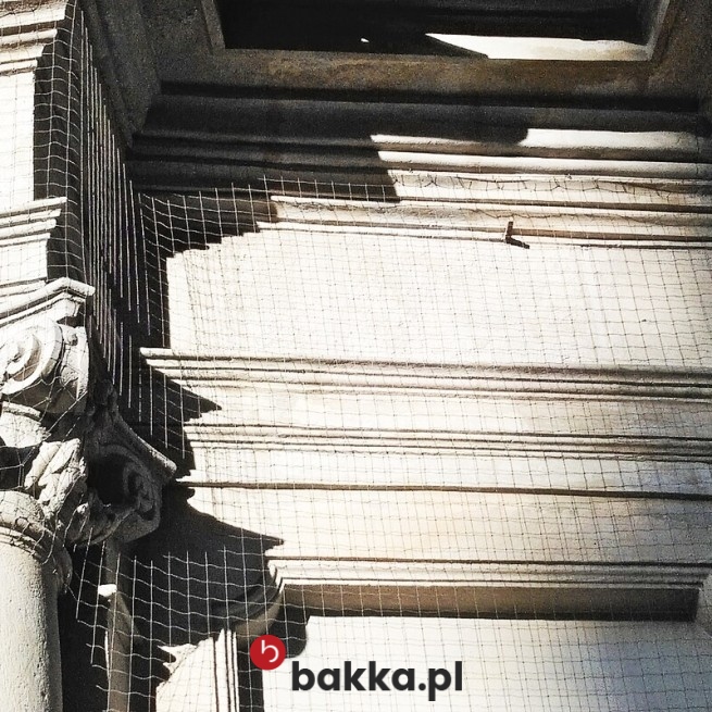   Bakka - Zielona elastyczna siatka ochronna o oczku 4,5 cm sprzedawana według twoich wymiarów 