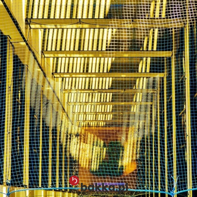 Siatka na hale produkcyjne – ochrona linii produkcyjnych przed dostępem w Bakka
