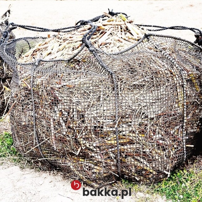 fotografia siatki o gęstym oczku w Bakka