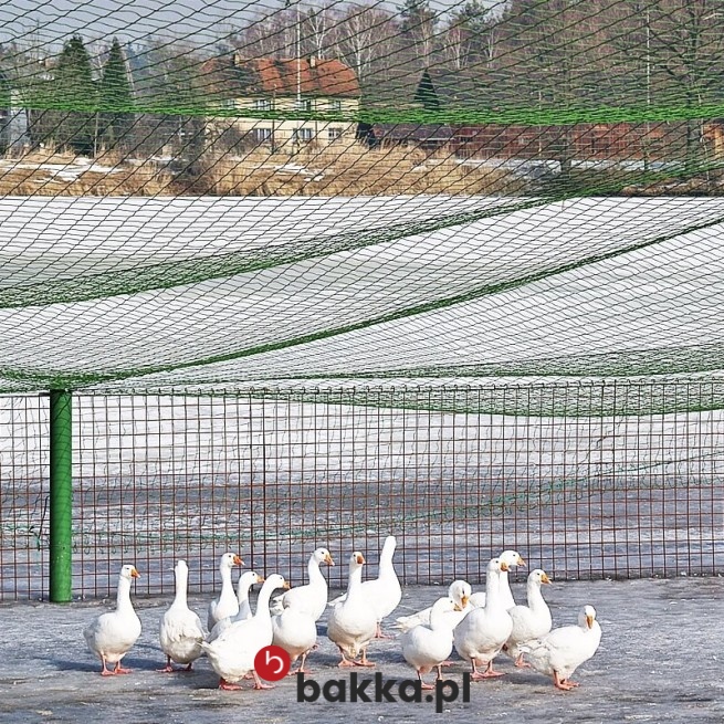  Bakka - Ogrodzenie dla Indyków 