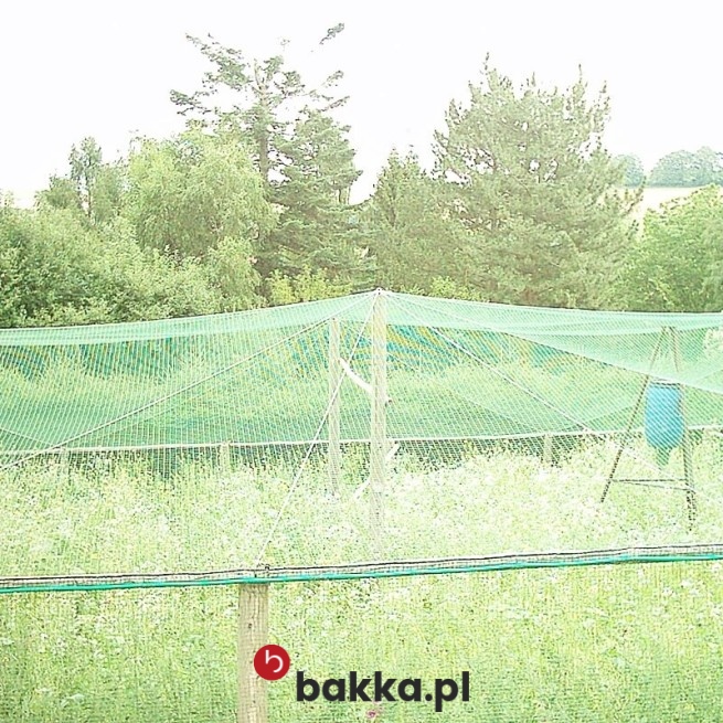  Bakka - Ogrodzenie dla Gęsi 