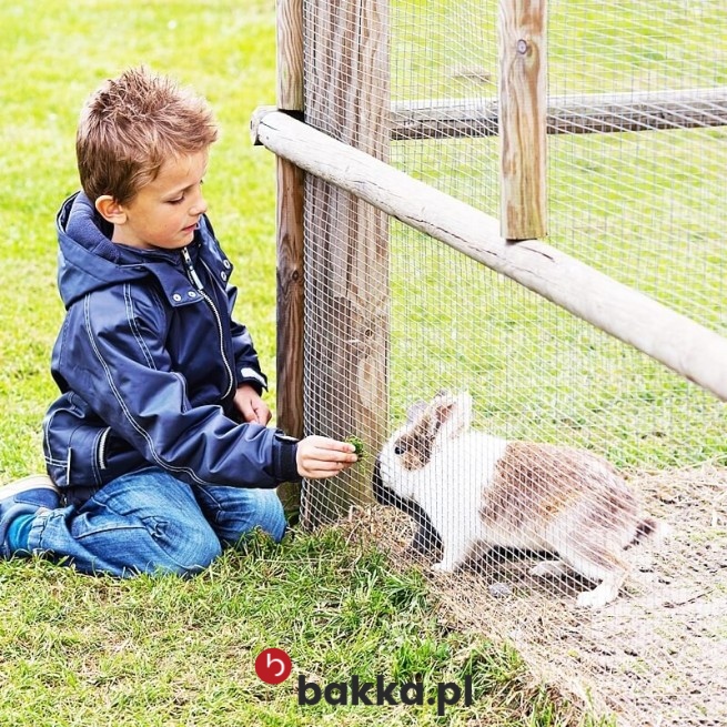  Bakka - Siatka z materiału na wymiar do ogrodzenia dla królika - plastikowa siatka ochronna o małych oczkach 1x1 cm i grubości 2 mm, sprzedawana w formie produktu na twoje wymiary w kolorze szarym lub czarnym. 
