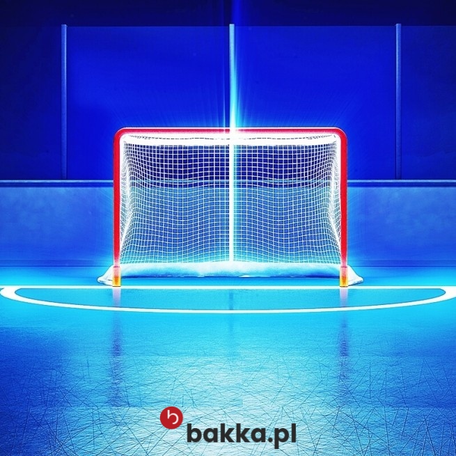   Bakka - Siatki Sportowe - siatka zabezpieczająca z polipropylenu o małych oczkach i grubości 2mm, dostępna w różnych kolorach na indywidualne zamówienie 