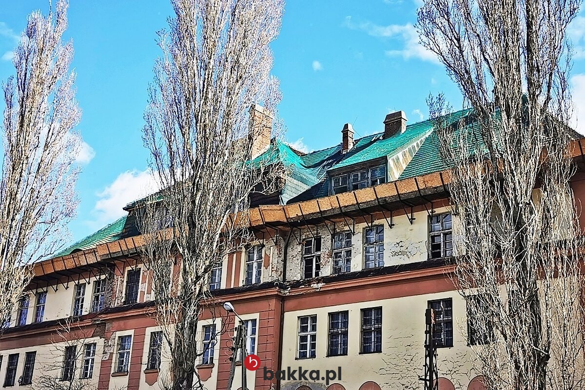  Bakka - Siatka budowlana 