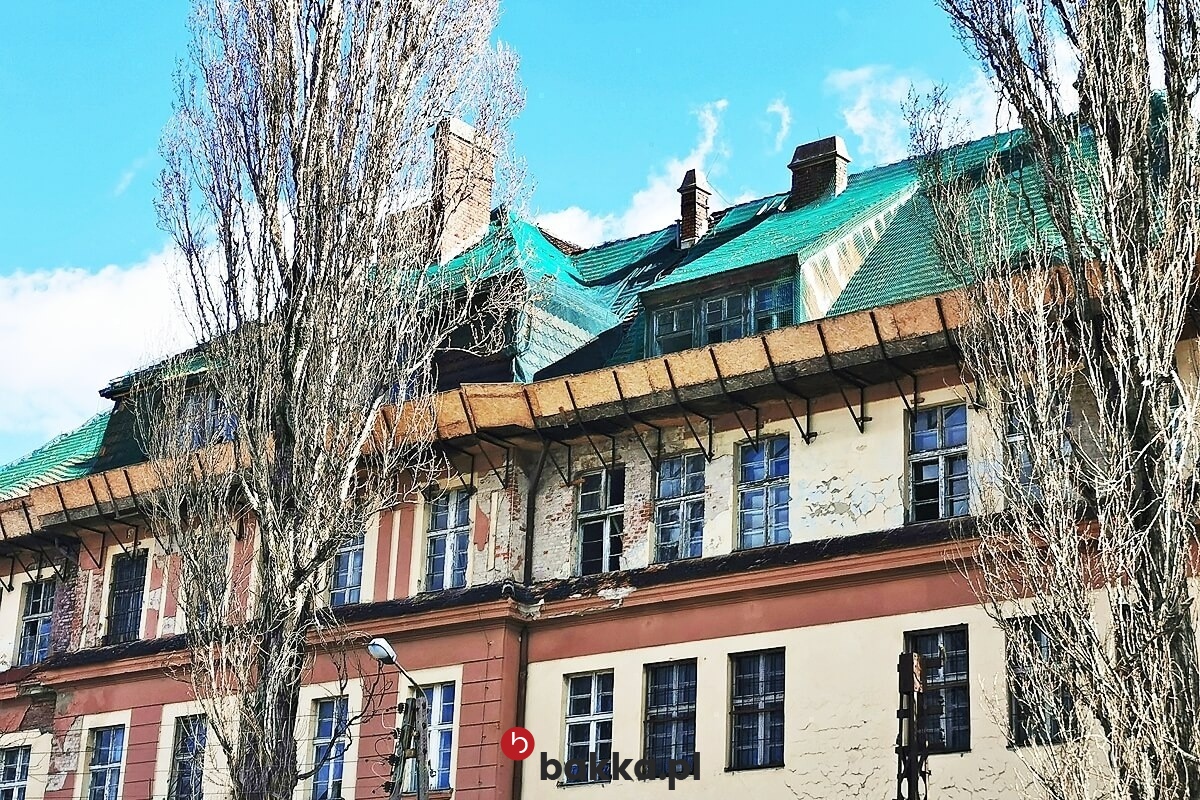   Bakka - Siatki Budowlane - Elastyczna i wytrzymała siatka ochronna z polipropylenu o oczkach 10x10 cm, sprzedawana na wymiar. 