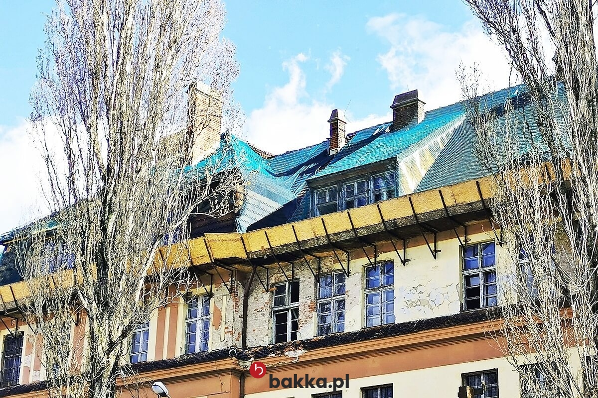  Bakka - Siatka na stary dach 