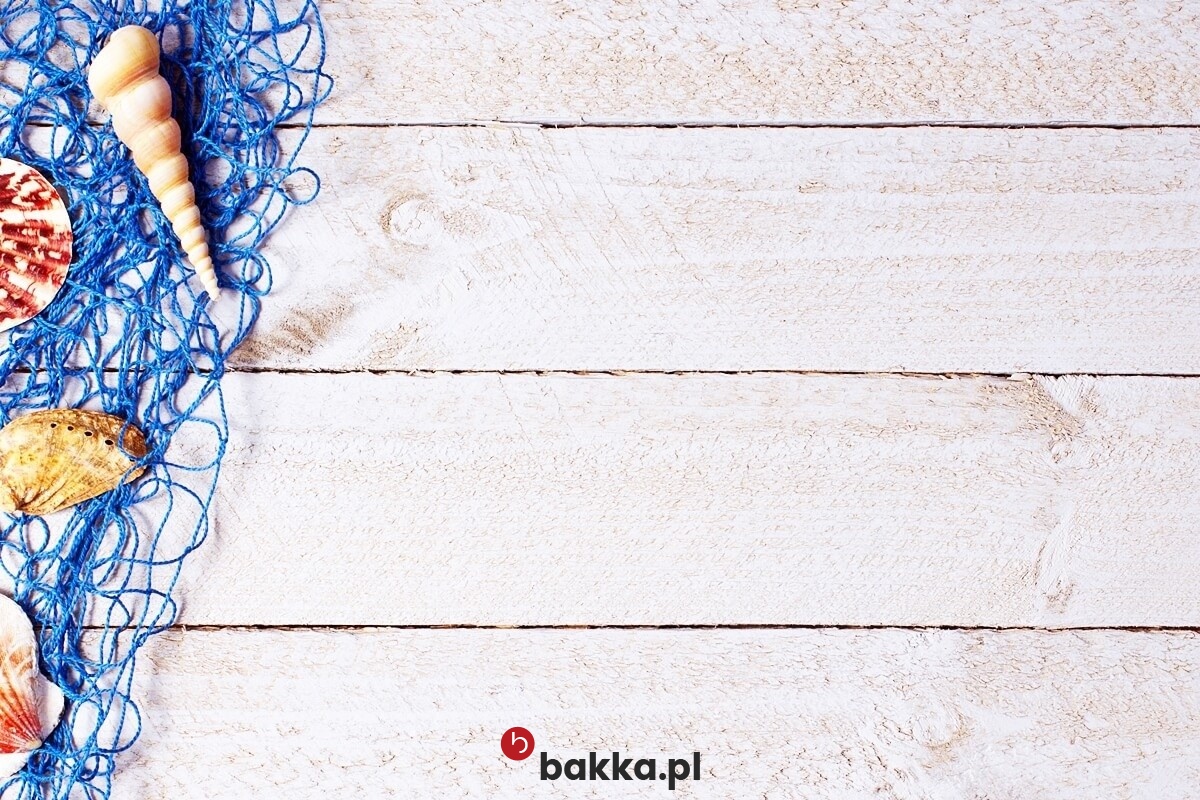  Bakka - Wystrój w wnętrz siatką 