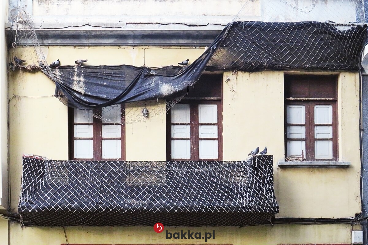   Bakka - Zielona siatka ochronna pleciona z polipropylenu o oczkach 8x8 cm dostępna w dowolnym rozmiarze 