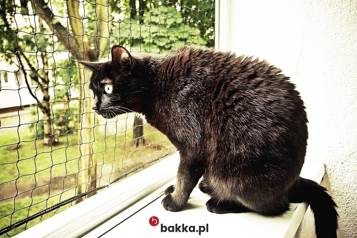  Bakka - Siatki do zabezpieczenia przestrzeni w domu 