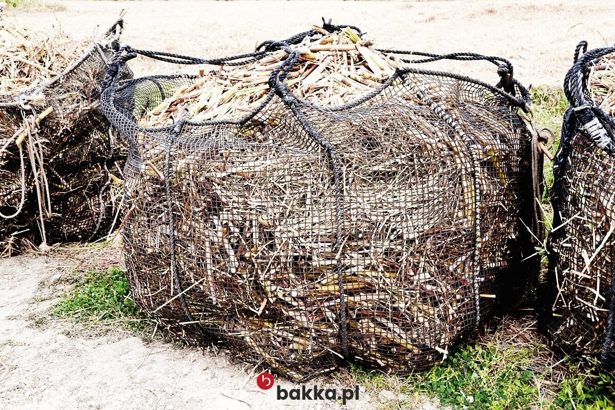  Bakka - Siatka do przykrycia i zabezpieczenia kubłów w śmietniku 