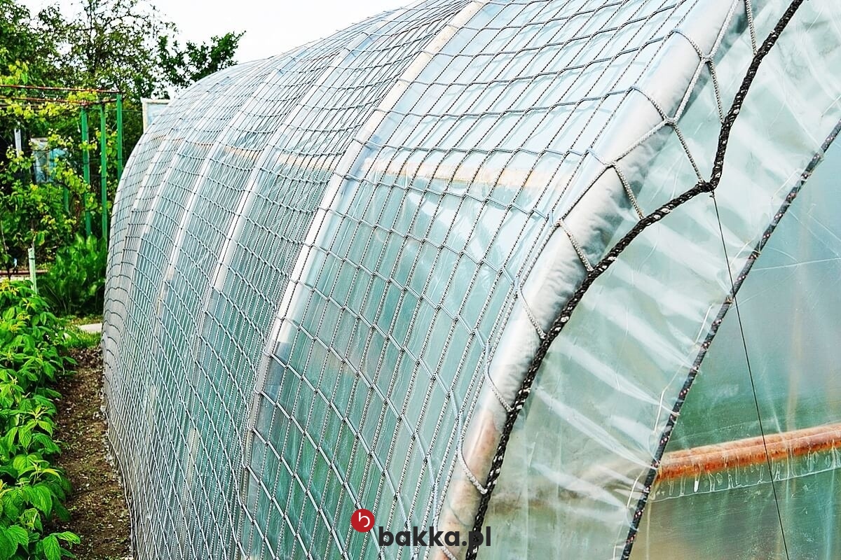  Bakka - , 