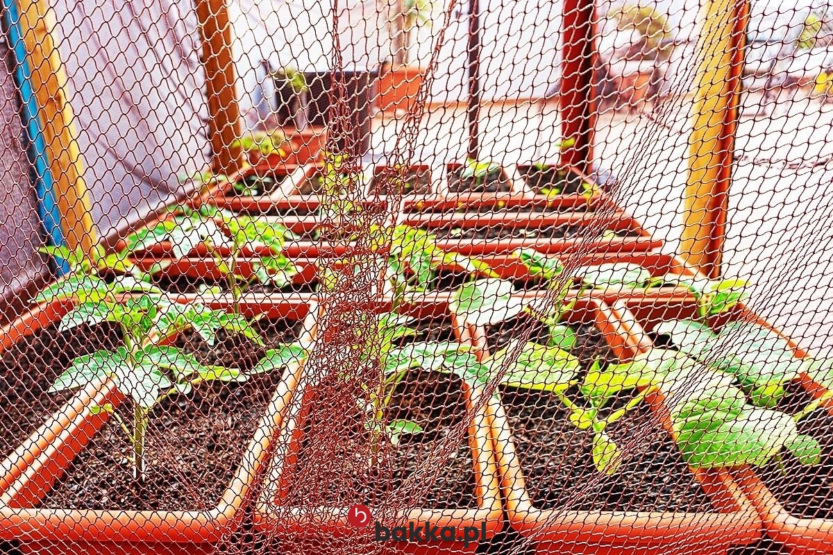  Bakka - Ogrodzenia rabat w formie siatki ochronnej zabezpieczającej na wymiar, plecionej z elastycznego tworzywa z oczkami 6x6 cm 