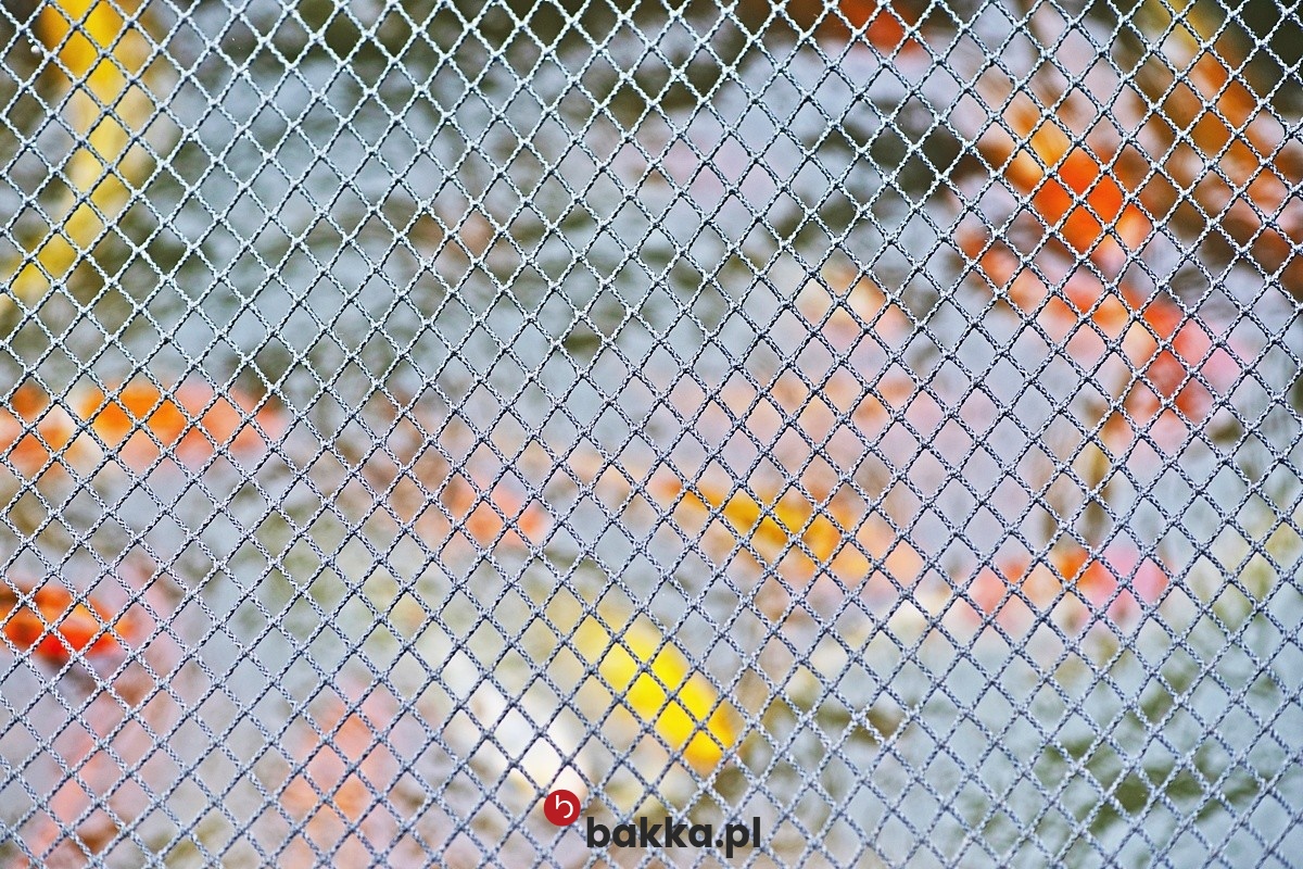  Bakka - Ogrodzenie oczka wodnego - siatka zabezpieczająca z elastycznego materiału polipropylenowego o grubości 4mm z zielonym obszyciem i oczkach 6x6cm do ochrony 