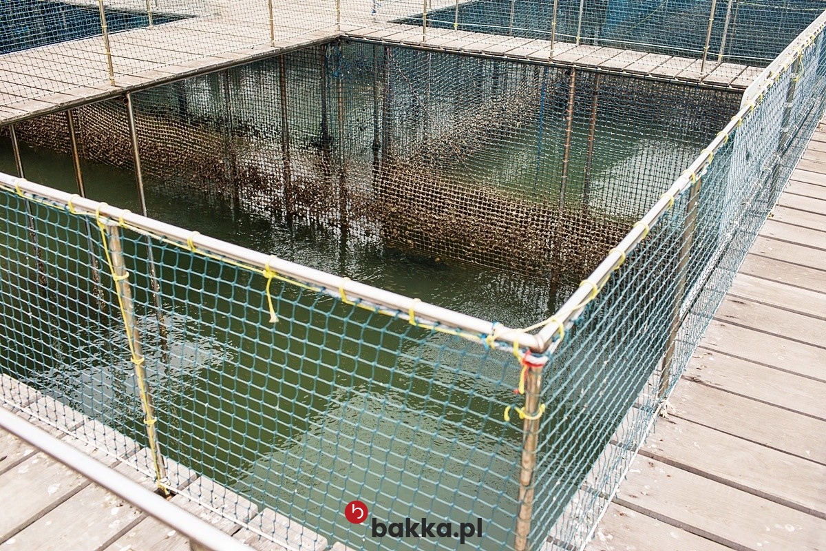  Bakka - Siatka ochronna z polipropylenu na wymiar - zabezpieczenie o małych oczkach 1x1 cm i grubości 2 mm 