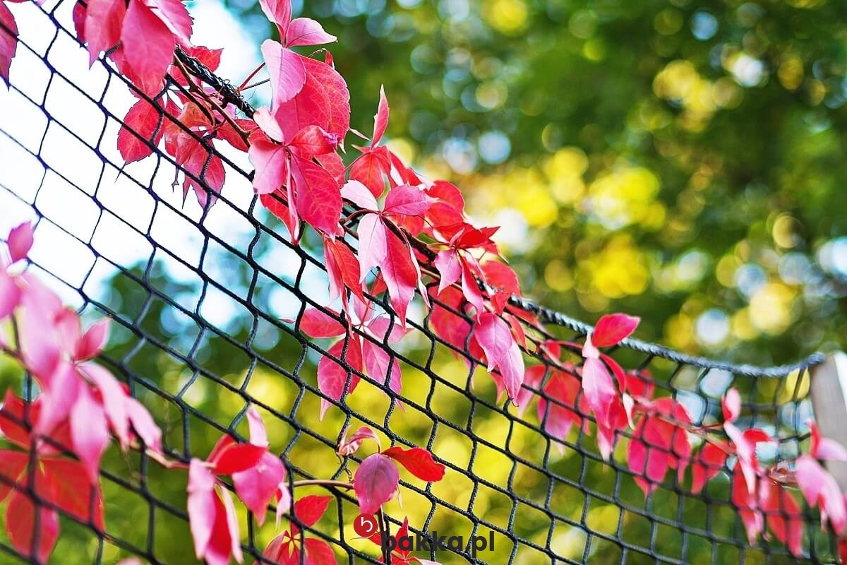  Bakka - Siatka ochronna z polipropylenu o grubości 4 mm i oczkach 6x6 cm, dostępna w kolorze zielonym lub grafitowym, sprzedawana na wymiar. 