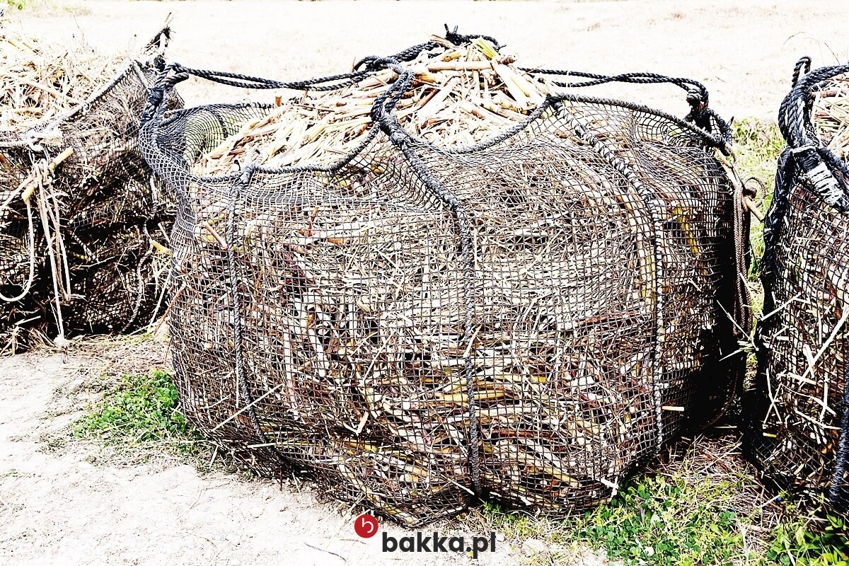   Bakka - Piłkochwyt 6m wysokości   Siatka oczko 8x8cm   Grubość siatki 5mm 
