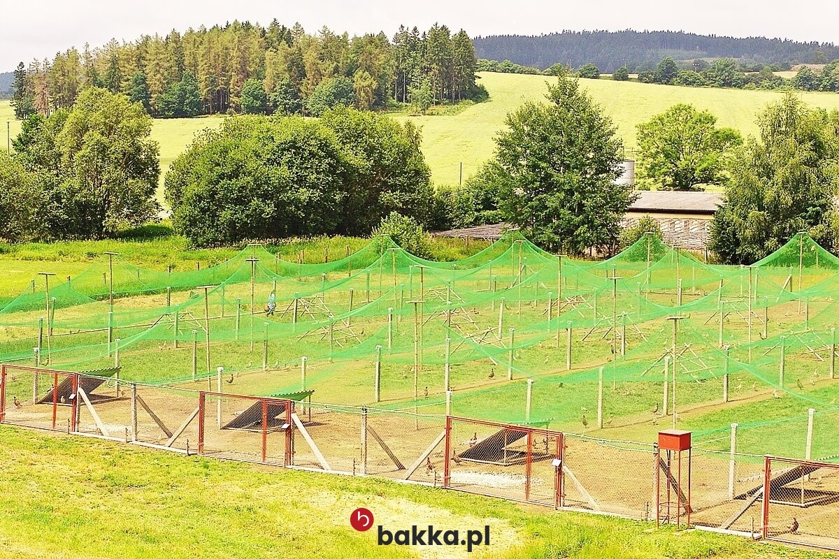   Bakka - Siatki dla kur na wymiar z małym oczkiem 1x1 cm, szara lub czarna z obszyciem, wykonana z polipropylenu o grubości 2 mm 