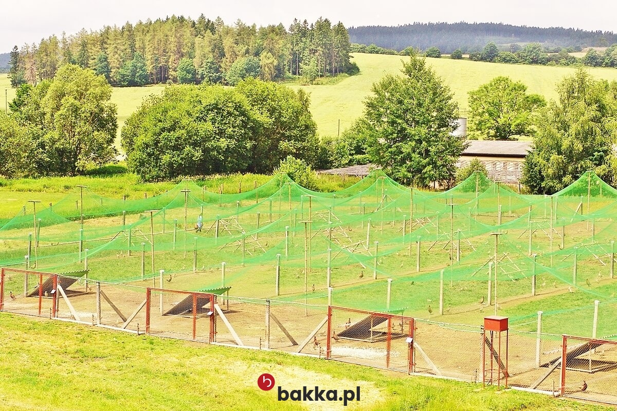   Bakka - Siatka z polipropylenu o małych oczkach do zabezpieczeń i ochrony o grubości 2mm w kolorze szarym lub czarnym sprzedawana na wymiar. 