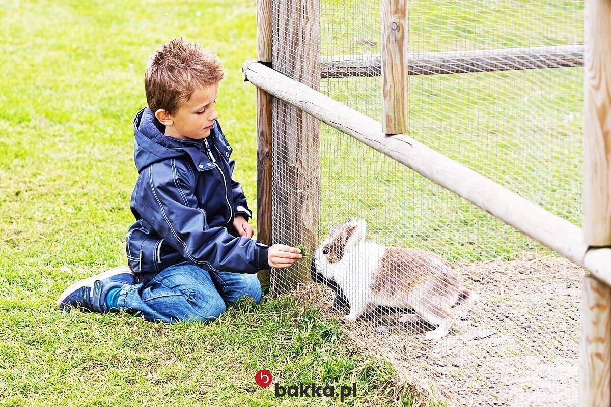  Bakka - Siatka z materiału na wymiar do ogrodzenia dla królika - plastikowa siatka ochronna o małych oczkach 1x1 cm i grubości 2 mm, sprzedawana w formie produktu na twoje wymiary w kolorze szarym lub czarnym. 