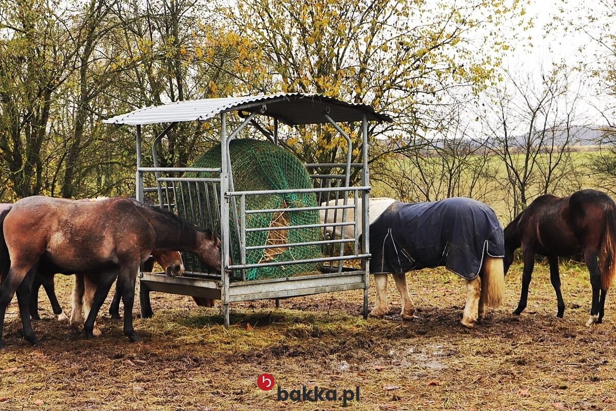  Bakka - Siatki do hodowli 