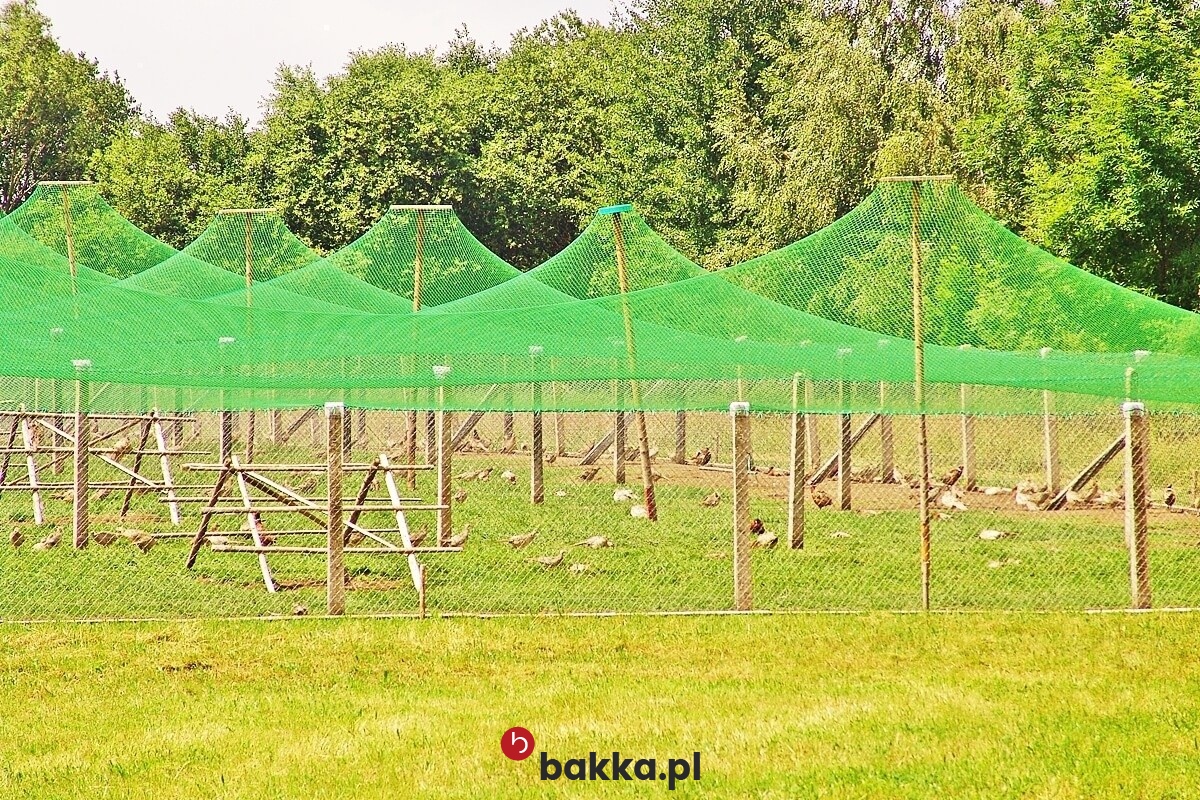   Bakka - Siatka na wymiar z polipropylenowych sznurków o grubości 2mm i oczku 2x2 cm w kolorze zielonym, białym lub czarnym. 