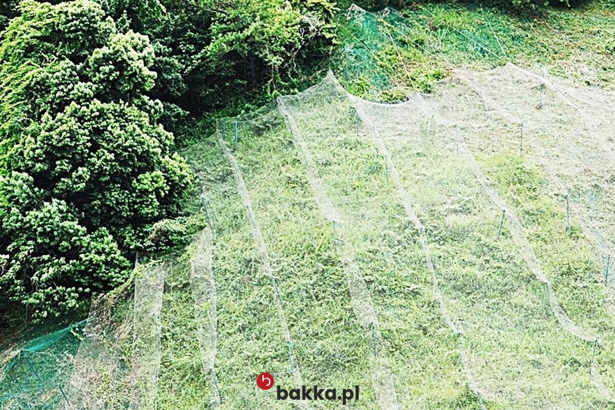   Bakka - Siatka rolnicza z małym oczkiem do indywidualnego zastosowania w odpowiednim rozmiarze 