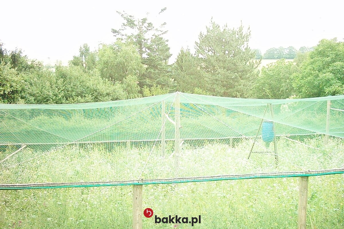   Bakka - Zielona lub szara siatka ochronna na wymiar z polipropylenu o oczkach 8x8 cm i grubości 5 mm. 
