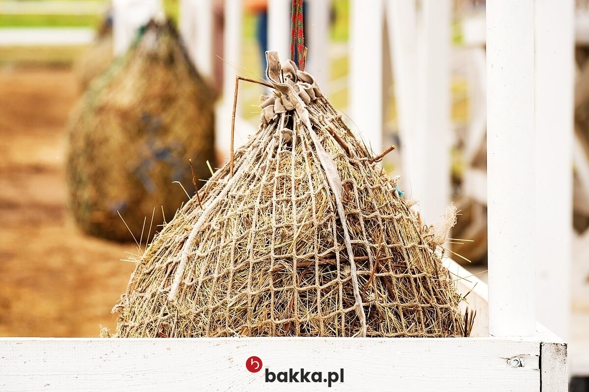   Bakka - Siatka ochronna o oczkach 5x5 cm z polipropylenu w kolorze beżowym, sprzedawana na wymiar. 