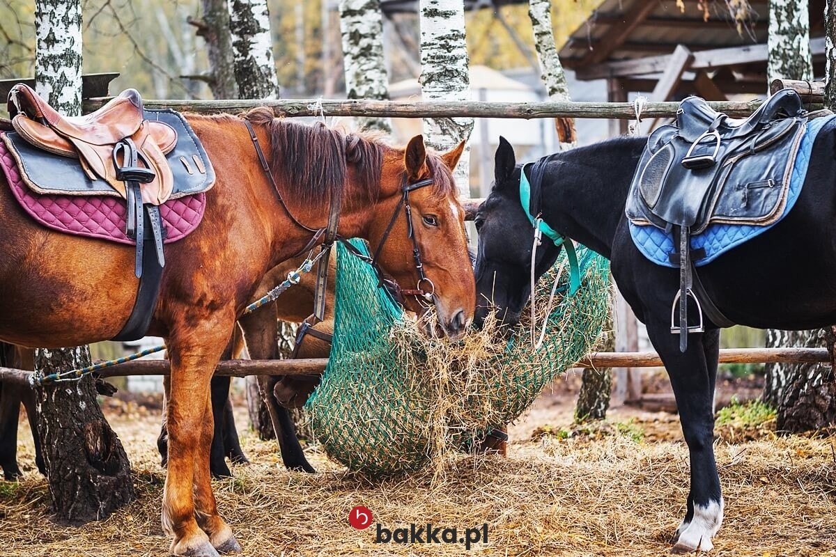  Bakka - Worek magazynowy z siatki o oczku 6x6 cm - siatka na siano dla koni, worek do zabezpieczenia i segregowania 